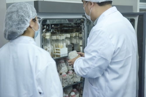 從吸脂獸到金菇露,長(zhǎng)青品派堅(jiān)持科技創(chuàng)新為企業(yè)根本