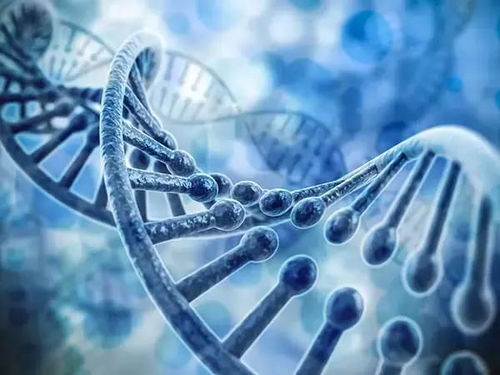 合成生物 一場堪比新能源汽車的消費科技革命