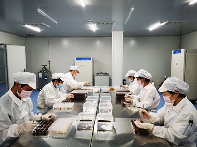 “四蟲一劑”引領科技創新全面塑造發展新優勢