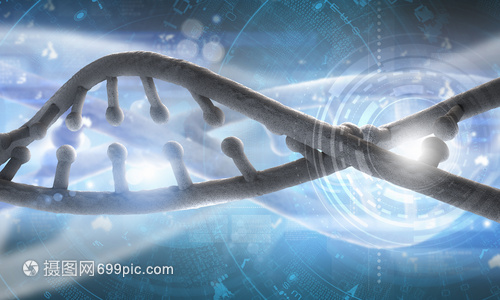 DNA分子高科技DNA分子的生物化學背景
